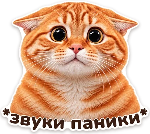 стикер: испуганный Мандарин, надпись «звуки паники»