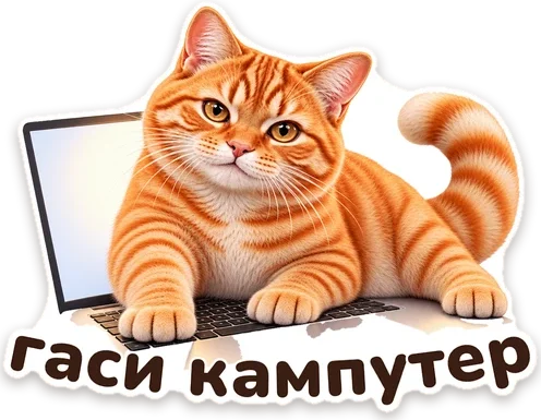 стикер: Мандарин лежит на ноутбуке, надпись «гаси кампутер»